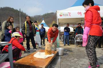제9회의성산수유꽃축제
